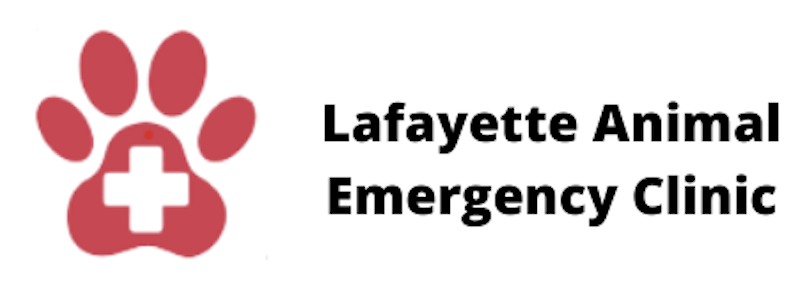 Cat Emergency Resources Lafayette, LA 70506 - Cat Clinic of Lafayette